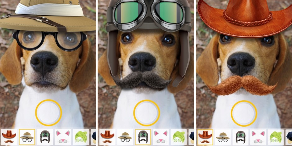 Vuoi il selfie perfetto con il tuo cane? Esiste selfiestix e selfiestix app.